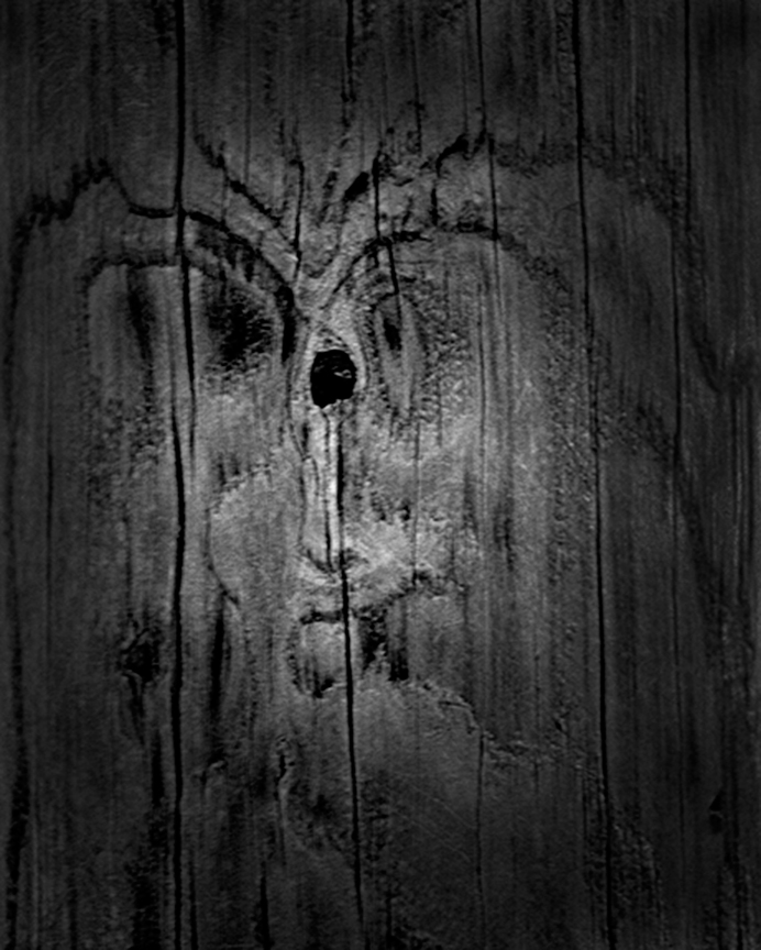 Face in a Telephone Pole